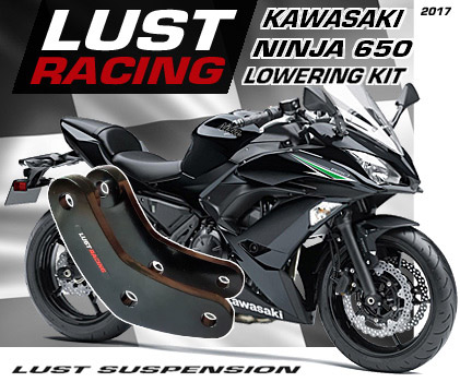 2017-2019 Kawasaki Ninja 650 lowering kit
