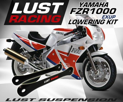 Yamaha FZR1000 EXUP lowering kit