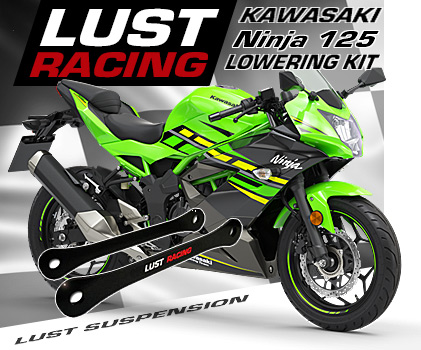 2019 Kawasaki Ninja 125 lowering kit