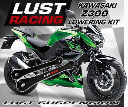 2015-2018 Kawasaki Z300 Lowering kit