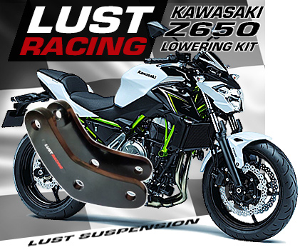 2017 2018 2019 Kawasaki Z650 lowering kit